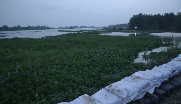 I:迅雷下载员工 党员临时图片4.gif